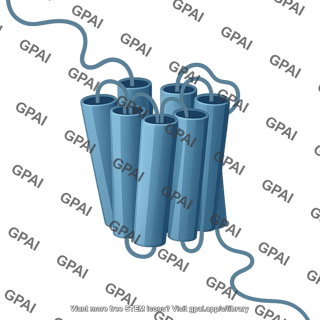 G protein coupled receptor gpcr folded 2