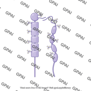 Cd45 cd22 complex