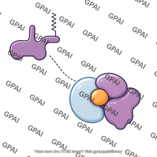 G protein heterotrimeric alpha inactive gs state