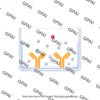 Sandwich elisa 1. well with pre coated capture antibody and sample