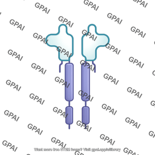 Cytokinin receptor dimer