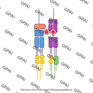 Mhc1 tcr complex