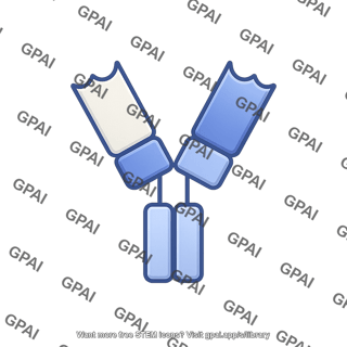 Antibody fragment fab editable
