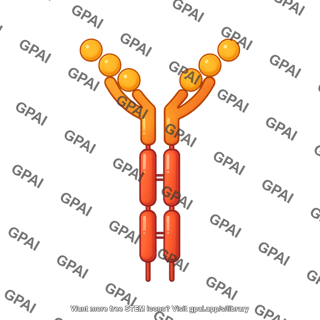 Stem cell factor receptor scfr c kit