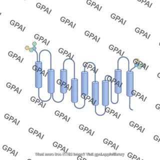 Ent1 with glycosylation sites