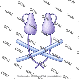 Tgf beta latent complex alpha one domain