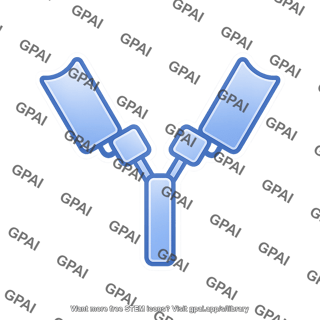 Antibody fragment fc editable