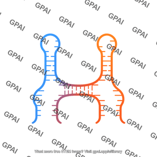 Mirna duplex