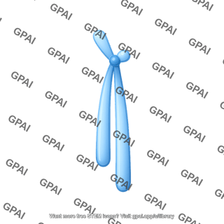 Chromosome simple telocentric