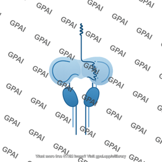 Raet1 nkg2d complex