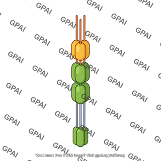 Cd40l cd40 complex