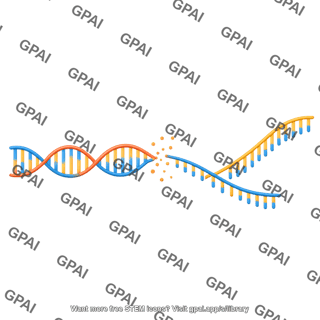 Dna unwound ssbreak long 2