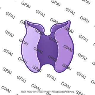 Neurotransmitter transporter open