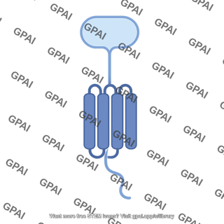 Cd47