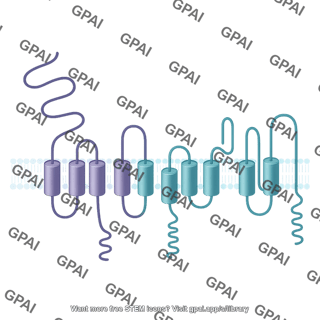 Polycystin 1