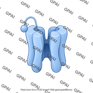 Ion channel voltage gated active