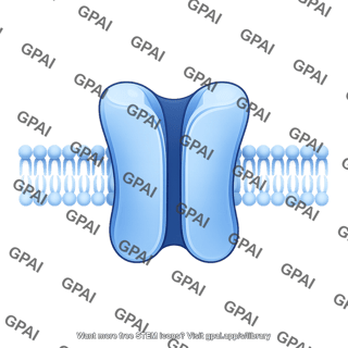 Ion channel generic open