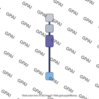 Netrin g ligand ngl