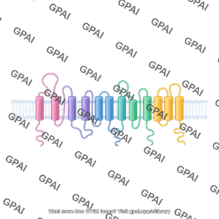 Flavivirus polyprotein