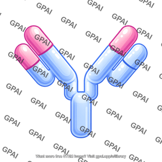 Antibody round style humanized editable