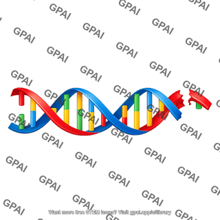 Dna double stranded break right