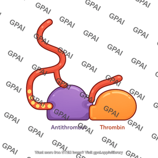 Heparin antithrombin thrombin