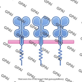 Nkg2d ligand raet1