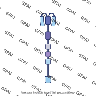 Netrin receptor dcc