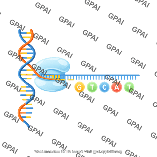 Dna sample fluorescent label