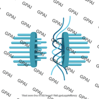 Desmosome hemichannel 1