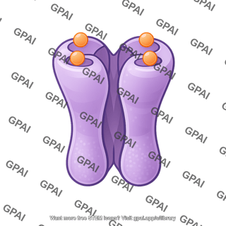 Ion channel ligand gated closed 1