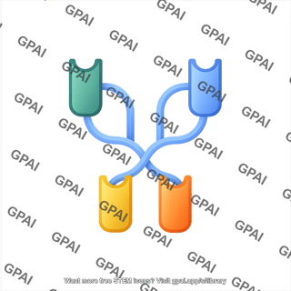 Bispecific antibody bite editable