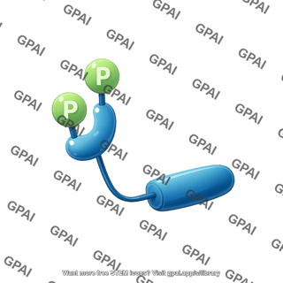 Spleen tyrosine kinase phosphorylated