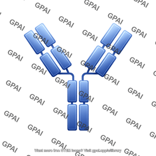 Antibody 6 fc domains