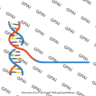 Dna 2d strand invasion left bottom