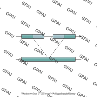 Genome structural variation tandem duplication