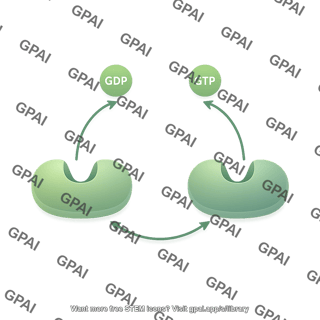 Generic gtpase cycle