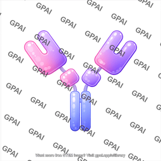 Antibody igy round style editable