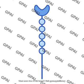 Dc sign monomer 02