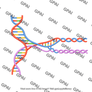 Dna transcription 2d coiling