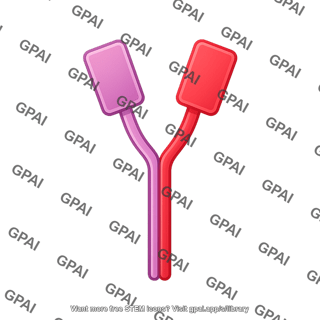 Cd8 heterodimer bent