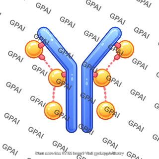 Antibody drug conjugate round style