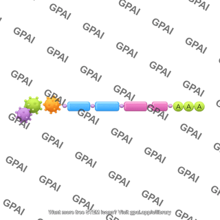 Mrna vaccine straight with neoantigens and nucleotides