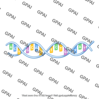 Ssdna 2d medium
