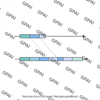 Genome structural variation interspersed duplication