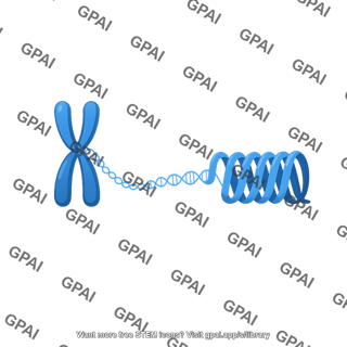 Chromosome and condensed chromatin