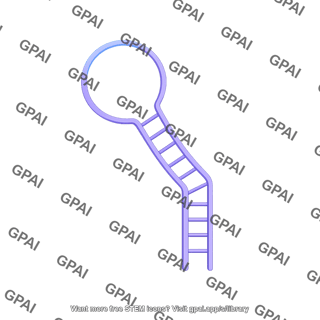 Rna stem loop small long