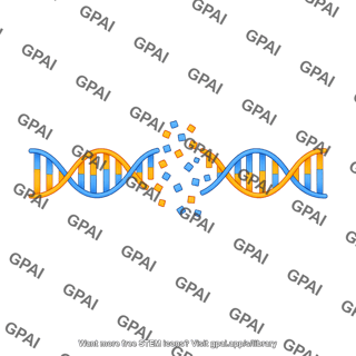 Dna unwound double stranded break 01