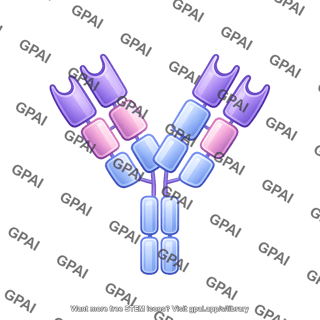 Antibody iga round style editable