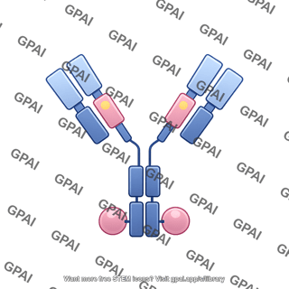 Antibody conjugated editable